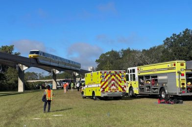 UPDATE: Walt Disney World Monorail Evacuated Due to Flat Tire