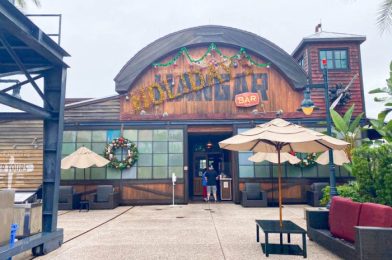 REVIEW: Skipping Disney World’s Hidden Holiday Bar Would Be a Big MISTAKE.