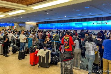 NEWS: Huge Crowds Broke RECORDS, Making Yesterday the Busiest Day EVER for Air Travel