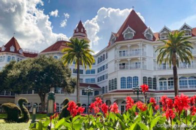 8 Questions You Should Ask When Checking In to Your Disney World Hotel