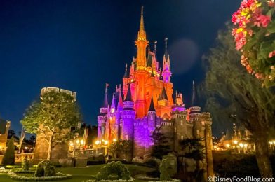 DFB Video: The ULTIMATE Guide to Tokyo Disney