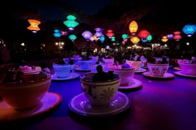 Mad Tea Party Ride Review