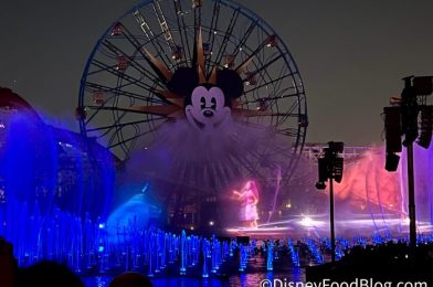 NEWS: Disney Announces a NEW Nighttime Water Show