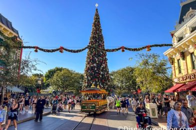 Check Out the MASSIVE Gingerbread Display at This Disney Hotel!