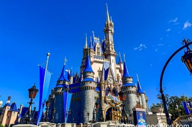 Before You Go to Sleep in Disney World, Do These 5 Things