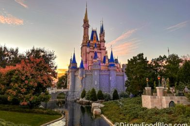 How Disney World Turned a Super Popular Rope Drop Attraction into a Total Ghost Town