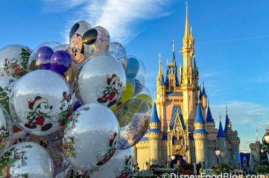 DISCOUNT ALERT! This NEW Disney World Ticket Deal Could Save You THOUSANDS in 2024