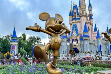 UPDATE on the “Smellephants on Parade” Attraction That’s Coming to Magic Kingdom