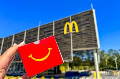 THIS IS NOT A DRILL! New McDonald’s Happy Meal Toys Are Coming Soon