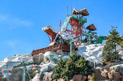 4 Reasons To Visit Blizzard Beach in Disney World BEFORE December 31st