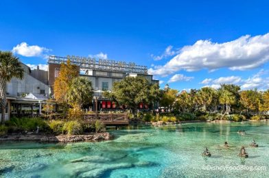 NEWS: A NEW Store Is OPEN in Disney Springs!