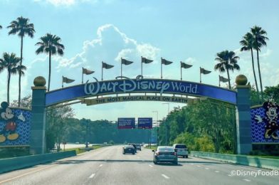 Our HONEST Thoughts About 3 Plant-Based Snacks at Disney World