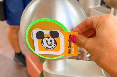 Too Many Annual Passholders Don’t Know About These 2 Exclusive Disney World DISCOUNTS