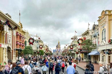 Did You Know About This NEW Bar In Disney World?