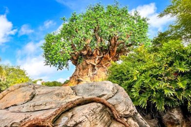 We’ve Gotta Share Some Bad News About Disney’s Animal Kingdom