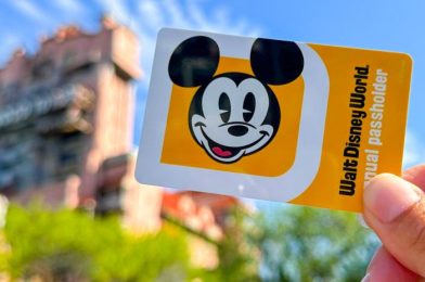 UPDATE: Disney World Fixes Annual Pass Payment Problem