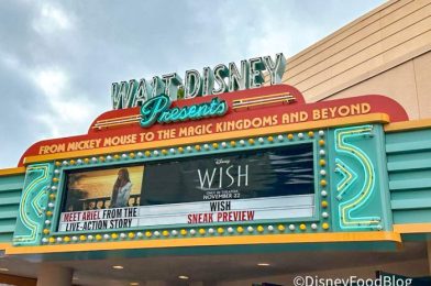 A NEW Souvenir Just Arrived in Disney World Inspired by ‘Wish’