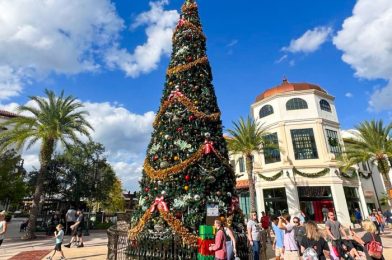 The Christmas Tree Stroll Is BACK in Disney Springs!