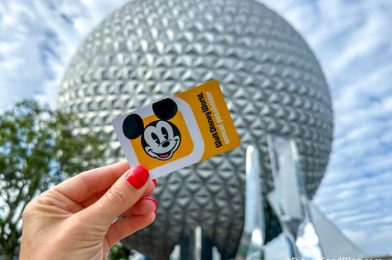 A SURPRISE Could Be Hiding in Your Mailbox if You’re a Disney World Annual Passholder!