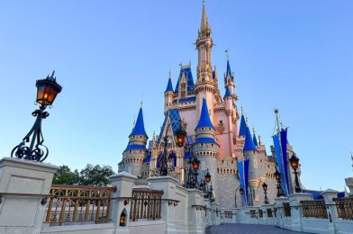 Once You Start Using This Disney World Trick, You’ll NEVER Go Back