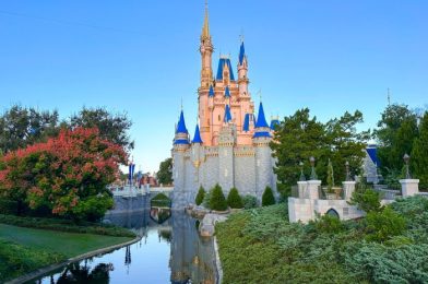 If You’re Going to Disney World Soon, You Should Know About These 7 CLOSURES