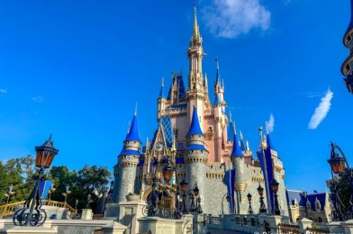 New Study Reveals Disney World Is NOT the Most Popular Theme Park in Florida