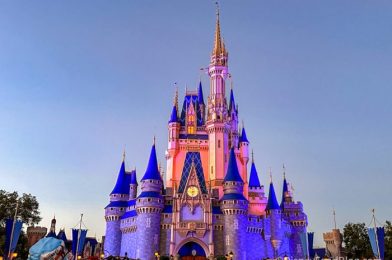 Why You Won’t Want To Go to Magic Kingdom on January 29th, 2024