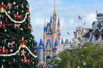 REVIEW: This Magic Kingdom Restaurant NEVER Lets Us Down