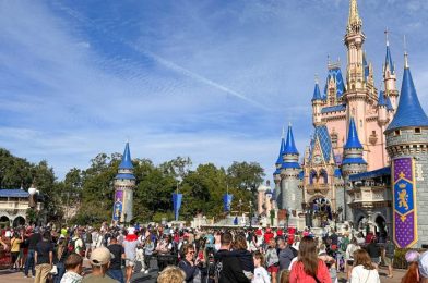 THIS Is Why We Warn You About Holiday Weeks in Disney World…