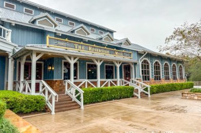 REVIEW: We Tried 3 Entrees at This Disney World Hotel Restaurant, and 1 Was the Clear WINNER