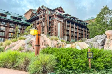 DFB Video: The BEST Disney World Hotels in 2024