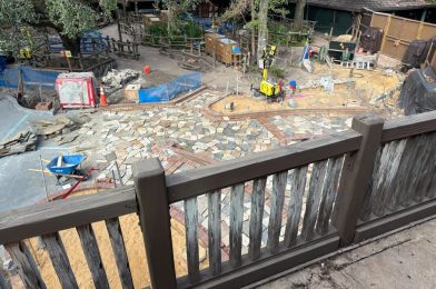 PHOTOS: New Cobblestone Paving Added to Queue at Tiana’s Bayou Adventure