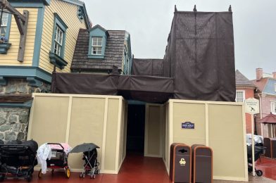 PHOTOS: Additional Scaffolding, Scrim Installed Outside Columbia Harbour House at Magic Kingdom