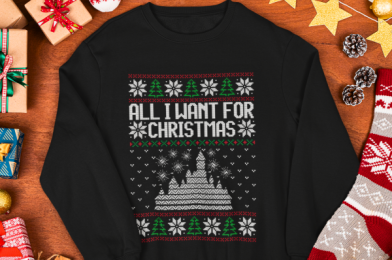 7 Disney Sweatshirts to Make Winter 100% Happier