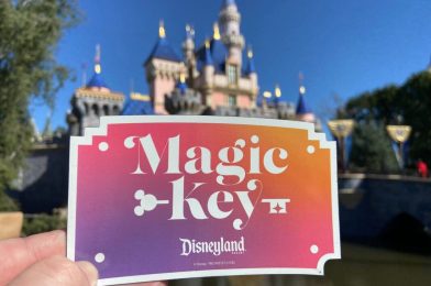 Disneyland Magic Key Holders’ November Monthly Payment Delayed Due to Third-Party Processing Issue