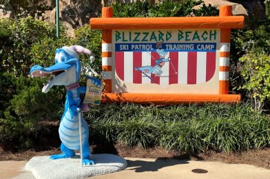 Disney’s Blizzard Beach Water Park Closing for Two Days This Week Due to Cold Weather