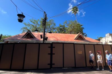 PHOTOS: Roof Decking Added to New Covered Seating Area Near Harambe Market at Disney’s Animal Kingdom