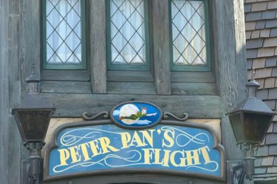 Peter Pan’s Flight Review