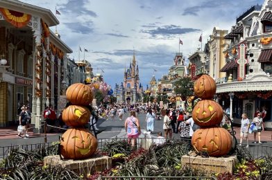 Thanksgiving Day Closure for DVC Member Services