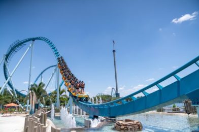 SeaWorld Orlando Roller Coasters – Ranking The Thrills