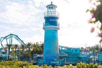 SeaWorld Orlando Height Requirements: What to Know