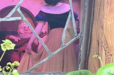 VIDEO: Dopey Rips Off Snow White’s Arm on Seven Dwarfs Mine Train at Magic Kingdom