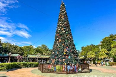 Mickey and Minnie Got an Outfit UPGRADE in Disney World (And We LOVE It!)