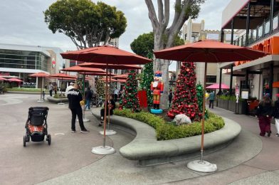 PHOTOS: Colorful Christmas Trees Arrive at Downtown Disney District