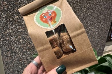 REVIEW: Plant-Based Gingerbread Bites Are Great Take-Home Treats at Disney Jollywood Nights