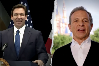 NEWS: Vote To Repeal DeSantis’ Disney Bill Delayed After Republican Lawmaker Walkout