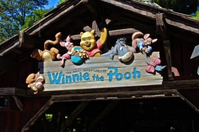 The Many Adventures of Winnie the Pooh Ride Review