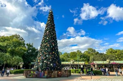 REVIEW: Animal Kingdom Finally Got Something NEW For the Holidays!