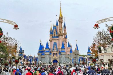 This Could Be the END of Revenge Travel to Disney World