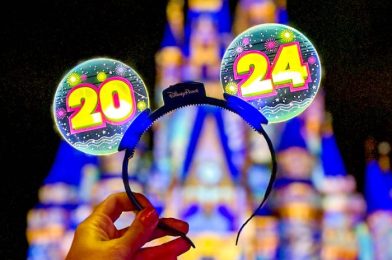 Check Out the New Year’s Eve FIREWORKS in Magic Kingdom With Us!